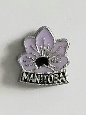 4/$20 Vintage Manitoba Metal/Enamel Collector's Pin!!